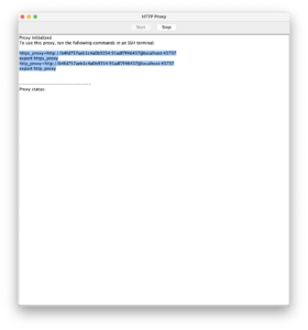 ACS proxy window with commands highlighted